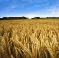 AGRI_komisje